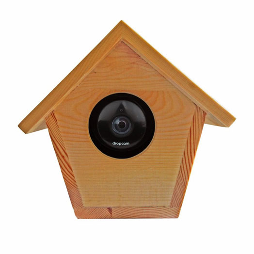 2019 year - How to Hide a Nest Camera 2019 year
