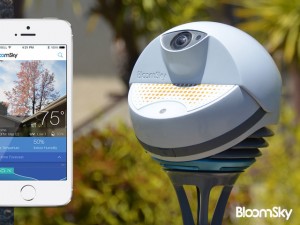 bloomsky