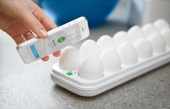 egg minder