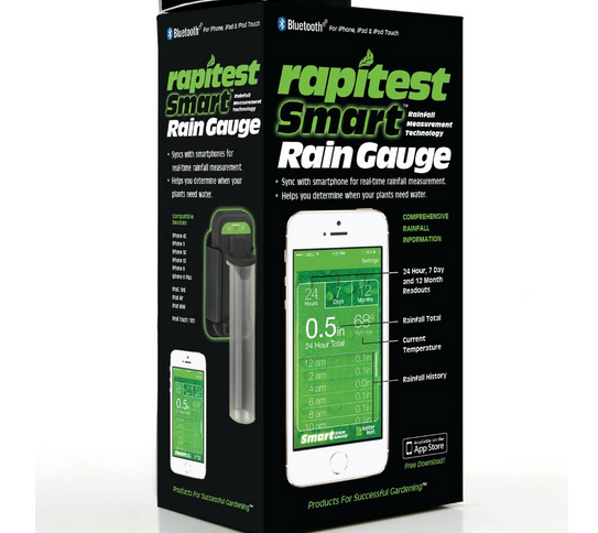 rain gauge