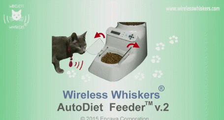 auto feeder