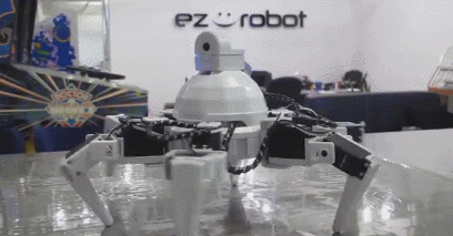 ez robot