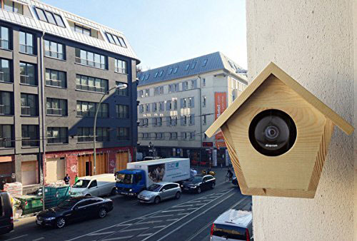 bird-house