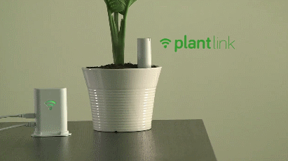 plantlink