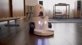 FunPaw Playbot Q Pet Feeder Robot Robotic Gizmos
