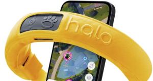Halo Collar 3 Smart GPS Dog Fence & Training Collar