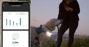 Lumi App Smart Illuminated Dog Harness