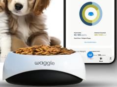 Waggle App Smart Pet Feeding Bowl with WiFi